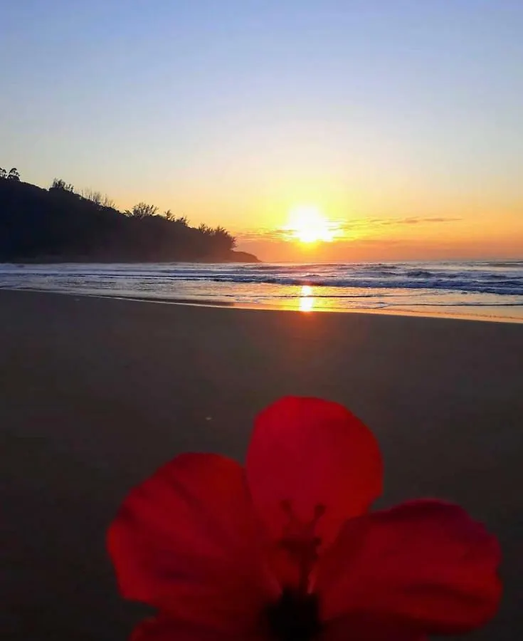 Moradas Costta Sul Garopaba Brasil